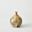 Magma Small Bottle In Tan