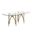 Manuel 78 x 42 Inch Glass Dining Table In Gold