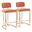 Mid back Demi 26 Inch Fixed Height Counter Stool Set of 2 In Gold and Salmon