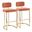 Mid back Demi 30 Inch Fixed Height Barstool Set of 2 In Gold and Salmon
