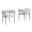 Mireya Teddy Fur Fabric Chairs Set of 2 In Beige and Gold Chrome