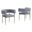 Mireya Teddy Fur Fabric Chairs Set of 2 In Gray and Gold Chrome