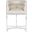 Emmett Barrel Base Counter Stool In Nickel