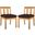 Montford Brazilian Dining Chair Set of 2 In Natural and Dark Brown