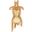 Naturals Female Torso In Gold Leaf