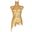 Naturals Male Torso In Gold Leaf