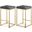 Nicola Velvet Stool Set of 2 In Grey/Gold