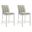 Nolan 26 Inch Counter Height Barstool Set of 2 In Fog and Matte White