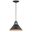 Outland 10 Inch Outdoor Pendant Light In Aged Iron and Light Gold