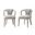 Palmer Dining Armchair Set of 2 In Silver Lining