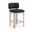 Paloma Vegan Leather Upholstered Counter Stool Set of 2 In Black