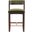 Patricia Counter Stool In Turtle Green