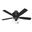 Promenade 54 Inch Energy Star Ceiling Fan with LED Light Kit and Handheld Remote In Gloss Black and Black Oak