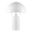 Ranae Table Lamp In White