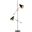 Reed Black and Brass 71 Inch Tall Floor Lamp