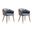 Reeva Dining Chair Set of 2 In Walnut and Graphite Grey