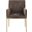 Reeves Chenille Fabric Dining Chair Set of 2 In Brown and Brushed Brass