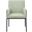 Reeves Chenille Fabric Dining Chair Set of 2 In Mint