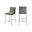 Reeves Chenille Fabric Upholstered Counter Stool Set of 2 In Grey and Brushed Silver