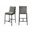 Reeves Chenille Fabric Upholstered Counter Stool Set of 2 In Grey and Matte Black