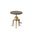Regan Adjustable Accent Table In Elm Top and Gold Base