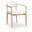Riccio Vegan Leather Upholstered Dining Arm Chair Set of 2 In Cream and Stained Natural