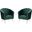 Rosemont Accent Chair in Green and Gold (Set of 2)