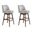 Sadie 30 Inch Bar Height Swivel Barstool Set of 2 In Taupe and Brown