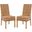 Sanibel Brown Rattan Side Chair Set of 2