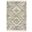 Scandinavian Shag 4' x 6' Area Rug In Beige and Ivory
