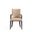 Shubert Faux Leather and Velvet Dining Armchair In Tan