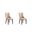 Shubert Faux Leather and Velvet Dining Chair Set of 2 In Tan