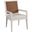 Laguna Smithcliff Woven Arm Chair In Tides