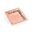 Square Jungle Verse Plate In Pink and Gold