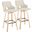 Stella 30 Inch Fixed Height Barstool Set of 2 In Black and Natural