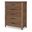 Summer Camp 5 Drawer Chest In Tree House Brown