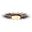 Sunburst Light Fixture In Nickel