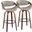 Symphony 30 Inch Fixed Height Barstool Set of 2 In Grey