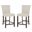 Taylor Counter Stool Set of 2 in Light Grey