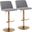 Toriano Adjustable Barstool Set of 2 In Grey