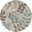 Tranquil Ivory and Light Blue 5'3" x 5'3" Round Area Rug