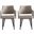 Tremont Dining Arm Chair Set of 2 In Taupe