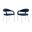 Upholstered Polyester Open Back Dining Arm Chairs Set of 2 In Silver and Blue