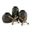 Vinburn 5 Piece Accessory Set In Black/Gold