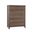 Woodbridge 5 Drawer Chest In Dark Cashmere