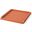 Wrapped Handle Large Tray In Coral Leather