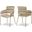 Yara Velvet Dining Chair Set of 2 In Beige
