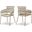 Yara Velvet Dining Chair Set of 2 In Stone
