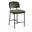 Zarelle Performance Fabric Upholstered Counter Stool Set of 2 In Green