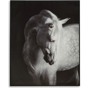 The appearance of Archerwick Wall Art In Black and White designed by Signature Design by Ashley in the interior design. This piece of furniture was selected by 1StopBedrooms from to add a touch of cosiness and style into your home. Sku: ASL-A8000409.